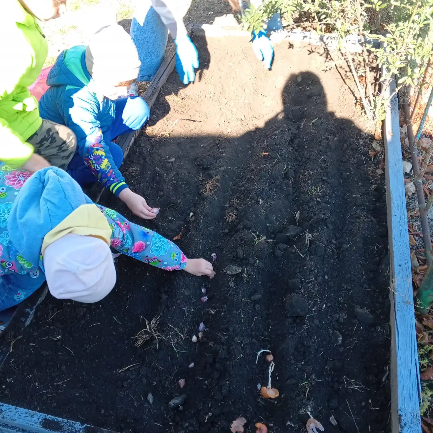 Уход за комнатными растениями