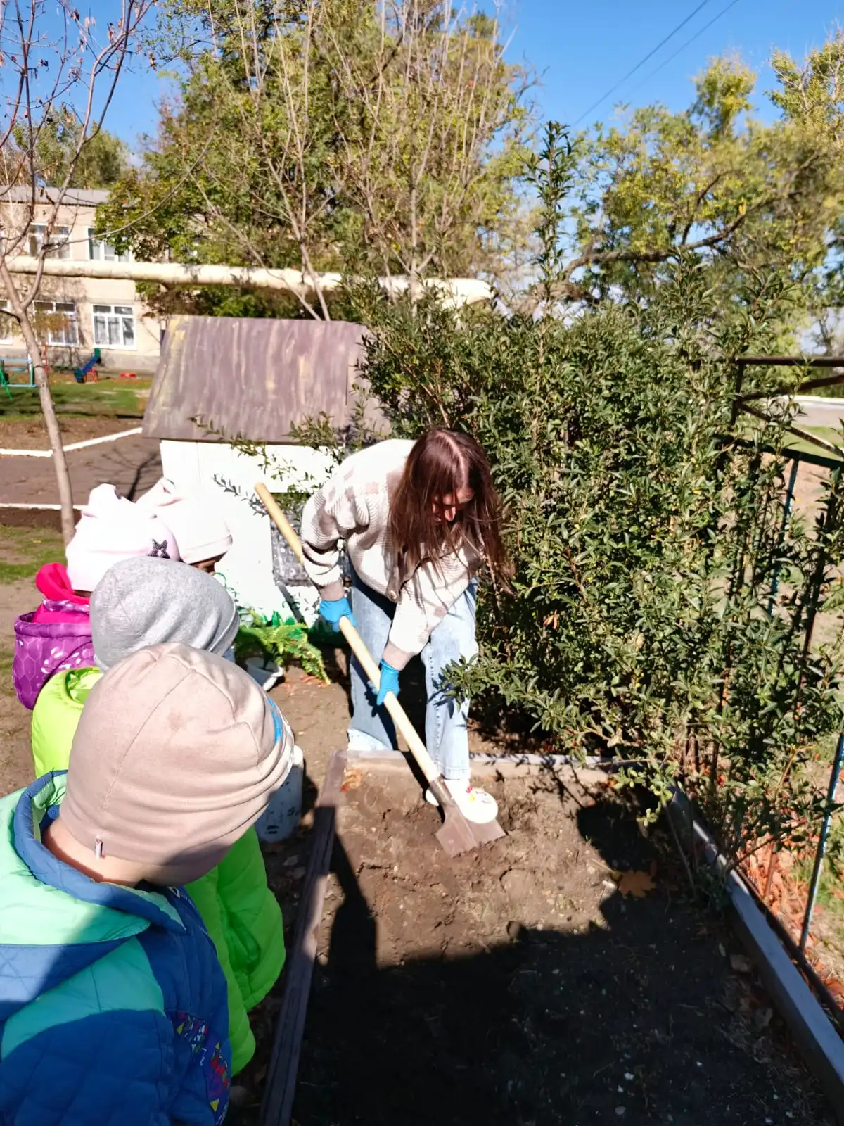 Наблюдения за природой