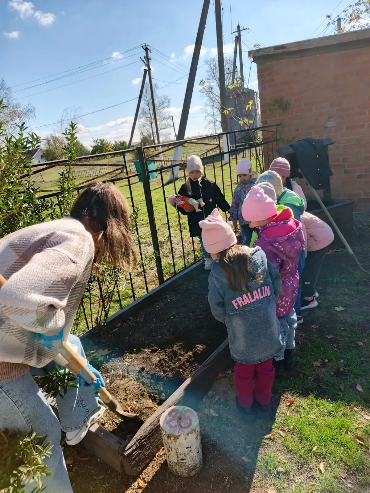 Наблюдения за природой