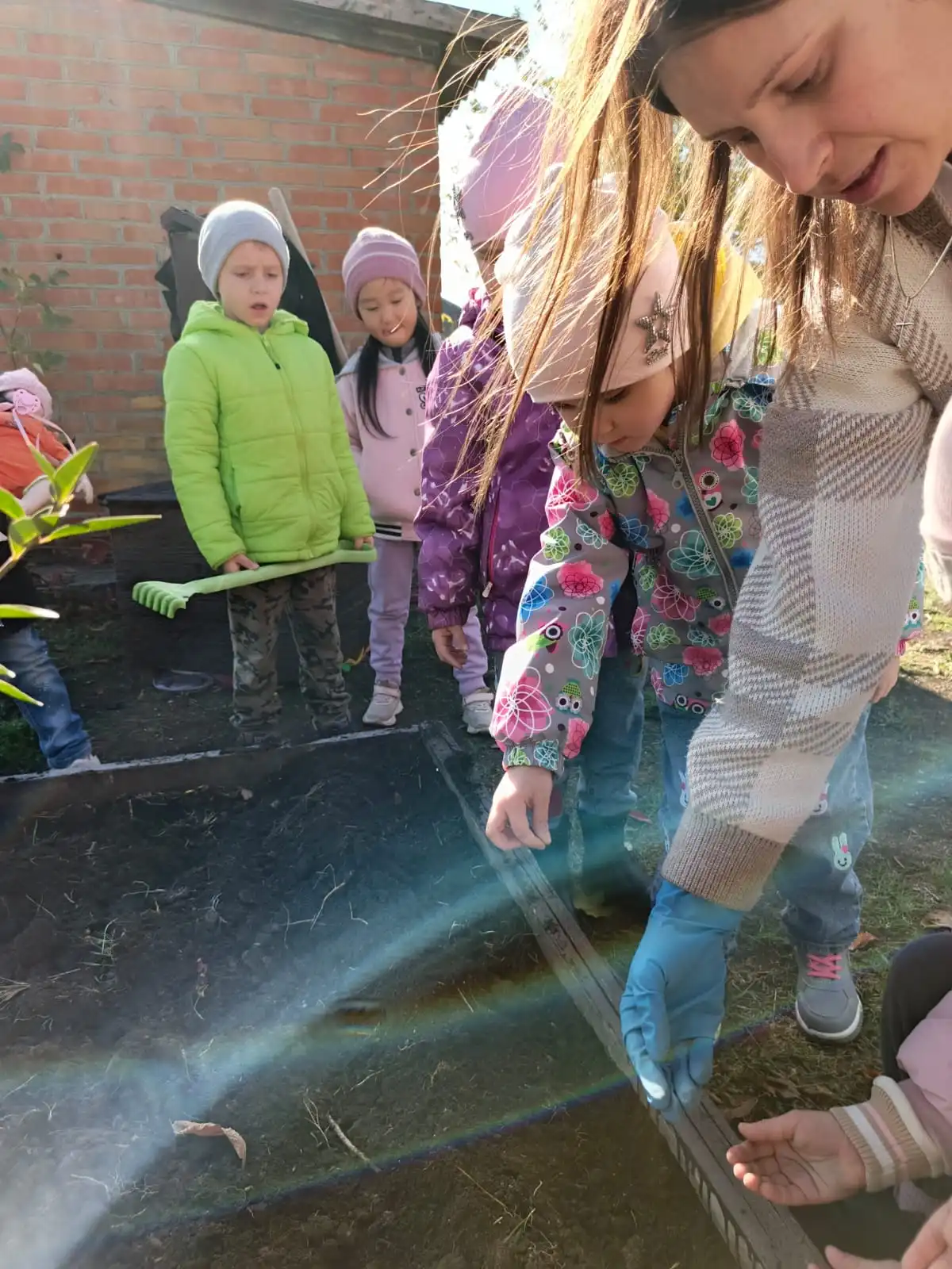 Наблюдения за природой