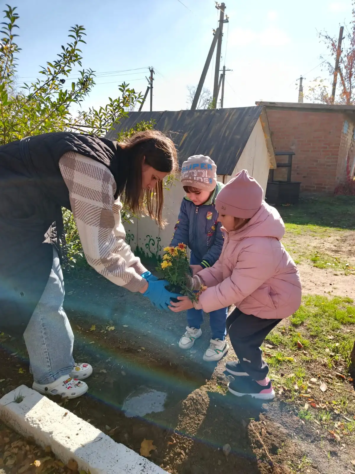 Наблюдения за природой